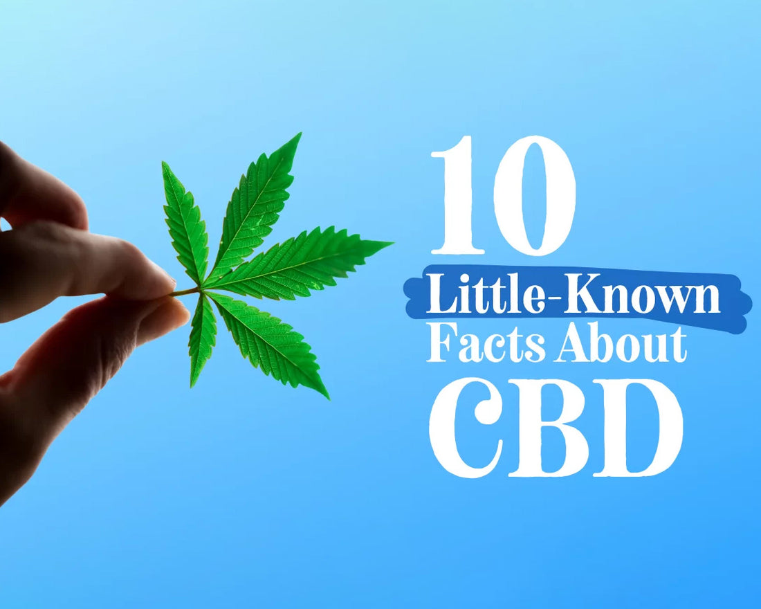 10 научно обосновани факта за CBD, които всеки трябва да знае